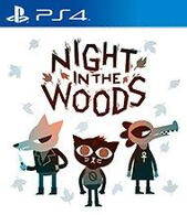 night in the woods night in the woods